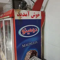 یخچال ایستاده|فروشگاه و مغازه|رباط‌کریم, نصیرشهر|دیوار