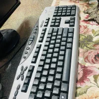 کامپیوتر با مانیتور ال سی دی|رایانه رومیزی|آمل, |دیوار