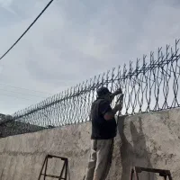حفاظ شاخ گوزنی