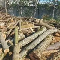 خرید انواع درخت