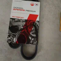 لنت ساینا