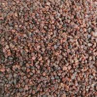 کشمش|خوردنی و آشامیدنی|زنجان, |دیوار