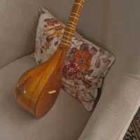 ساز سهتار مفاخری به همراه کیف|سازهای سنتی|رشت, چمارسرا|دیوار