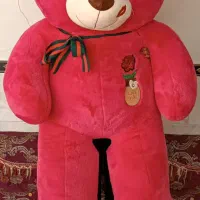 شاسخین بزرگ