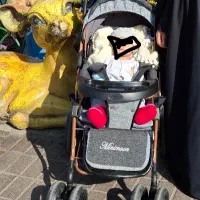 کالسکه دلیجان