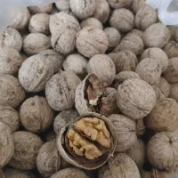 گردو کاغذی خوش طعم|خوردنی و آشامیدنی|شاهین دژ, |دیوار