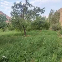 باغ ۱۰۰۰ متری پشت میدان ورودی شهر