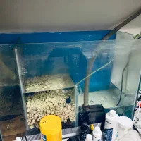 آکواریوم شیک و ساپ دار|ماهی|تهران, جنت‌آباد مرکزی|دیوار