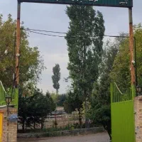 حسابدار