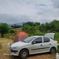 206  Sd