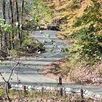 راهنمایی در مورد کار