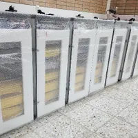 دستگاه جوجه کشی */با پشــتیبـانی /otomat