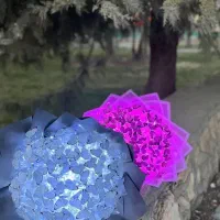 کادوی شیک روز دختر|بدلیجات|بروجرد, |دیوار