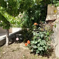 اجاره روزانه/هفتگی/ماهانه ویلا ۵۵۰ متری در باغستان|اجارهٔ کوتاه‌مدت ویلا و باغ|کرج, باغستان|دیوار