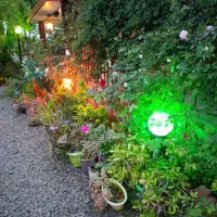 ویلاباغ۴۶۰متری/بافت/سند/استخر/همصفا|فروش خانه و ویلا|چمستان, |دیوار