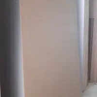 زیر پالتی،نئوپان