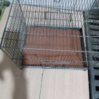 قفس سهره خاکی .