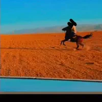 مادیان دره شور درجه یک|اسب و تجهیزات اسبسواری|نهاوند, |دیوار
