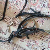 زین اسب|اسب و تجهیزات اسبسواری|قلعه قاضی, |دیوار