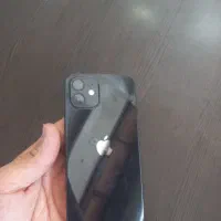 Apple 12
