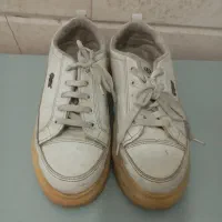 کفش|کیف، کفش، کمربند|قم, منبع آب|دیوار