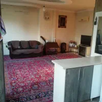 فرش دستباف 12متری، بافت موسوی سالم و درحد|فرش|مشهد, کوشش|دیوار