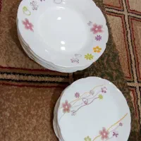 بشقاب طرحدار