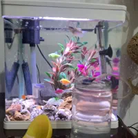 اکواریوم ۲۰لیتر نوردار وداری همه چیز