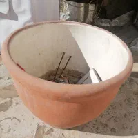 گلدان بزرگ سفالی|گل و گیاه طبیعی|بیرجند, |دیوار