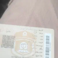 درحد نو|موتورسیکلت|لامرد, |دیوار