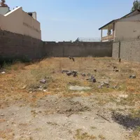 زمین۴۲۰م تهراندشت/ سهیلیه/ کردان باانشعابات|فروش زمین و ملک کلنگی|کرج, ولیعصر|دیوار