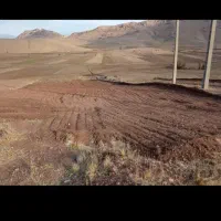 زمین کشاورزی با موقعیت باغی و صنعتی یا دامداری|پیش‌فروش املاک|هرسین, |دیوار