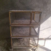 قفس سه طبقه