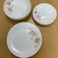 سرویس آرکوپال سرویس چینی