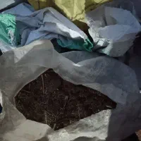 کود گوسفند