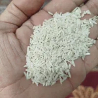 برنج هاشمی اصل درجه یک|خوردنی و آشامیدنی|میاندوآب, |دیوار