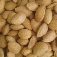 بادام تلخ