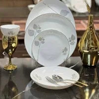 ظروف اپال گرد۴۵پارچه