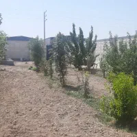 اجاره چهار دیواری|اجارهٔ دفتر صنعتی، کشاورزی، تجاری|ماهدشت, |دیوار