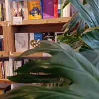 مقاله و پایان نامه