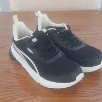 کتونی پوما نو وارداتی|کیف، کفش، کمربند|رامسر, |دیوار