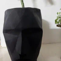 گلدون مشکی رخ|گل و گیاه طبیعی|مشهد, یاس|دیوار