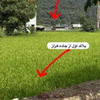 قطعه های ۲۰۰  متری زمین نزدیک تهران ((جنگل هراز ))