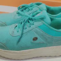 تعدادی کفش بچگونه و زنونه در حد نو|کیف، کفش، کمربند|اشتهارد, |دیوار