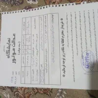 زاهدان|موتورسیکلت|زاهدان, |دیوار