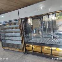 یخچال فروشگاه گوشت مرغ پروتئین ایستاد|فروشگاه و مغازه|شیراز, شهرک صنعتی شیراز|دیوار