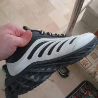 کتونی|کیف، کفش، کمربند|قم, کلهری|دیوار