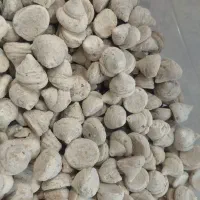 کره بادام زمینی و انواع شیره ومعجون|خوردنی و آشامیدنی|مشهد, زمانه|دیوار