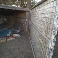 اتاق مزدا دوکابین ۱۰ ملیون|قطعات یدکی و لوازم جانبی|جوین, |دیوار