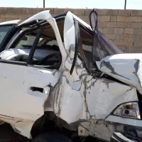 سمند تصادفی